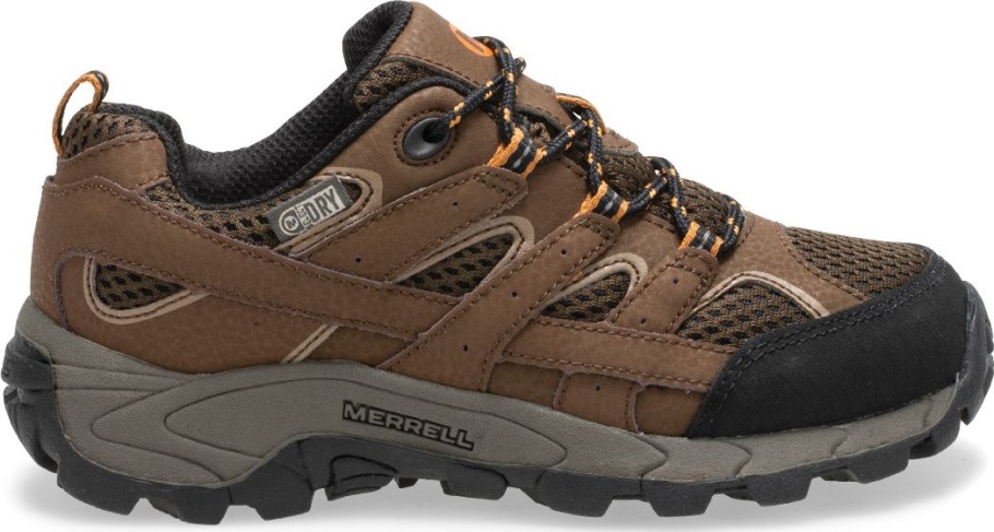 Big Kid's Moab 2 Low Lace Waterproof Sneaker Earth Merrell