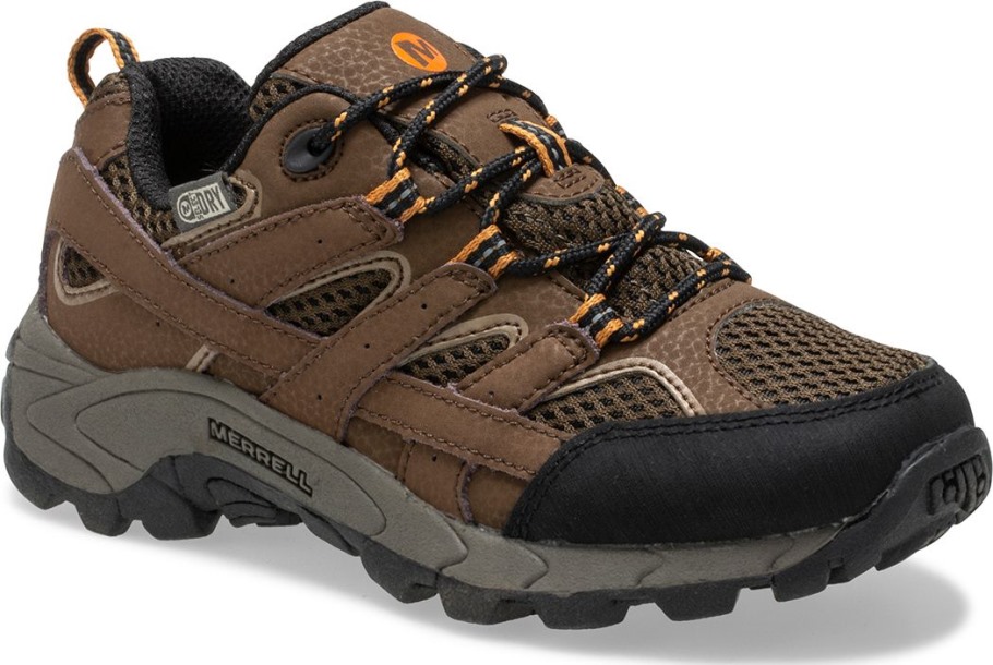 Big Kid's Moab 2 Low Lace Waterproof Sneaker Earth Merrell