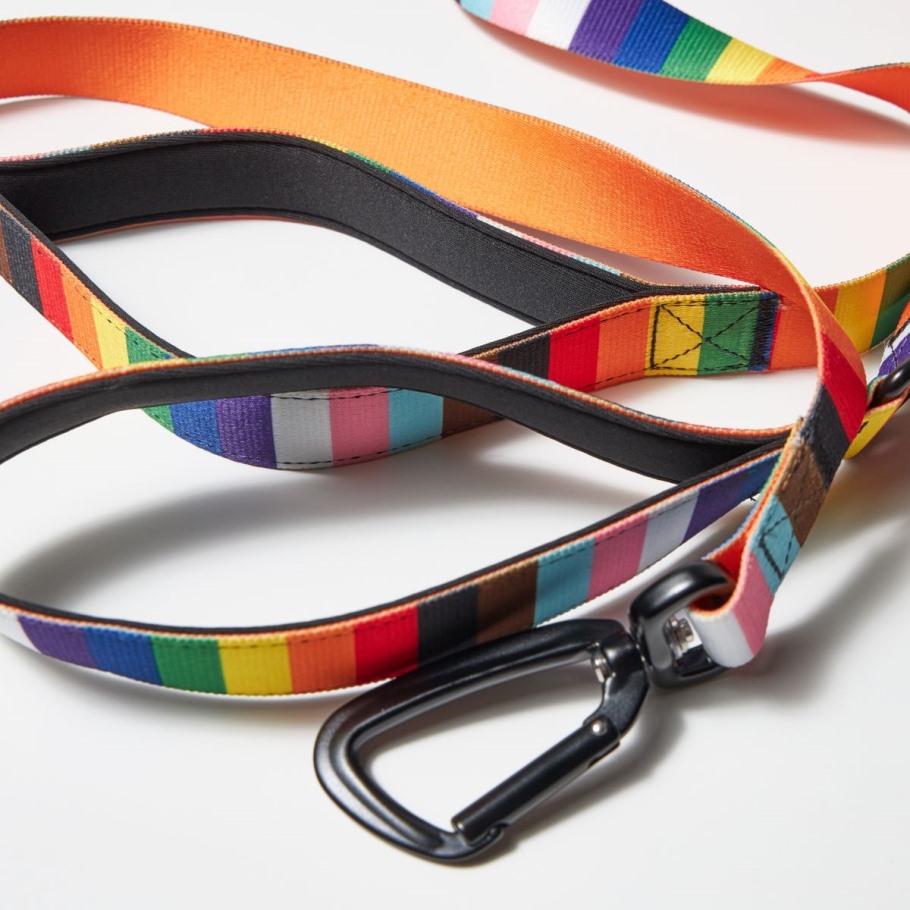 Merrell Dog Leash Rainbow Pride