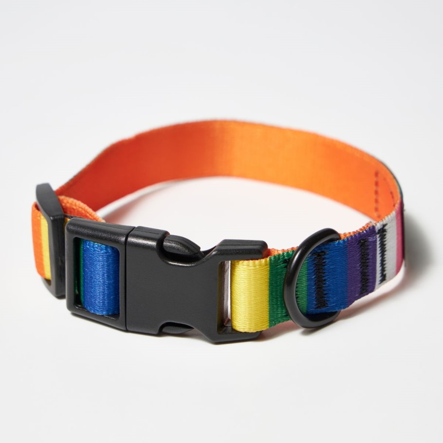Merrell Rainbow Pride Dog Collar