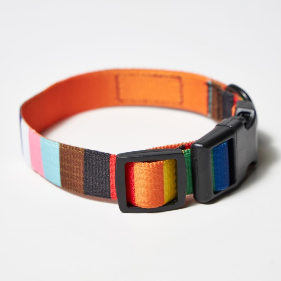 Merrell Rainbow Pride Dog Collar