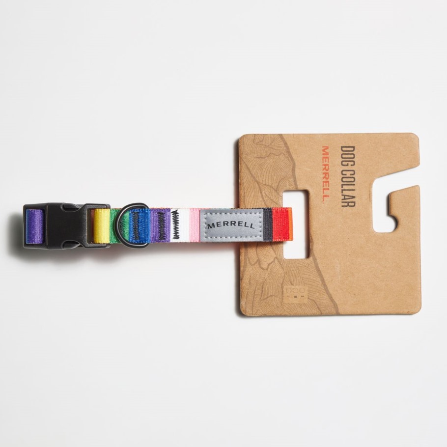 Merrell Rainbow Pride Dog Collar