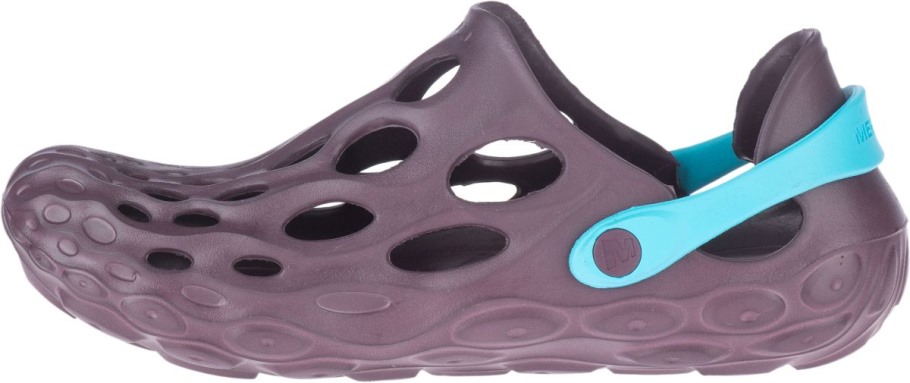Merrell Women's Hydro Moc Burgundy Blue